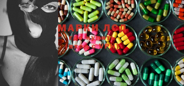 сатива Корсаков